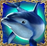 Дельфин вайлд